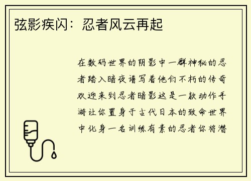弦影疾闪：忍者风云再起